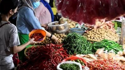 Cabai, Minyak dan Telur Bikin Inflasi, Penguasa Gagal Antisipasi?