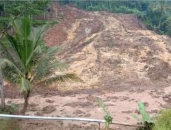 Detik-detik Longsor di Ciherang, Sumedang: Dua Hektar Sawah Rusak