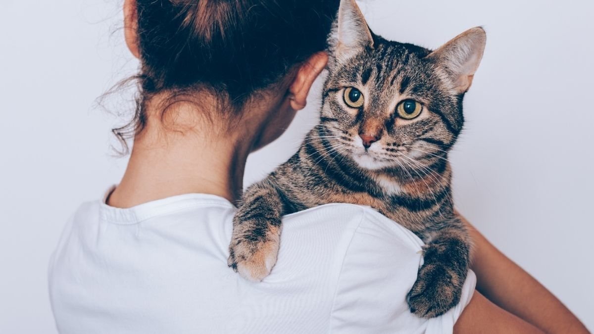 Jenis Cacing pada Kucing - Bagian 2
