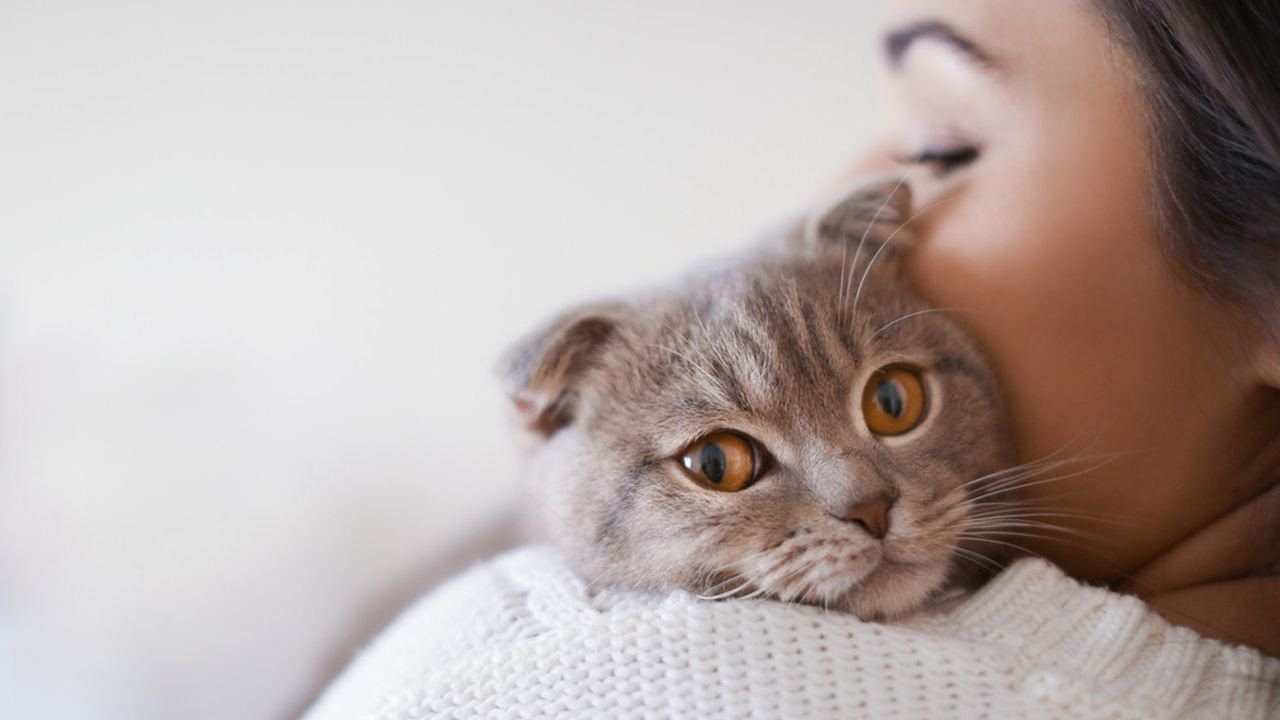 Jenis Cacing pada Kucing