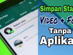 Cara Download Story WhatsApp Paling Mudah