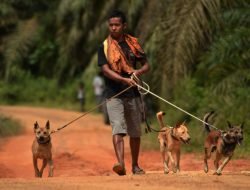 Hubungan Saya Paling Personal Dengan Si Anjing