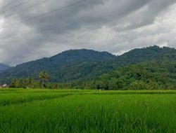Gunung Mananggel