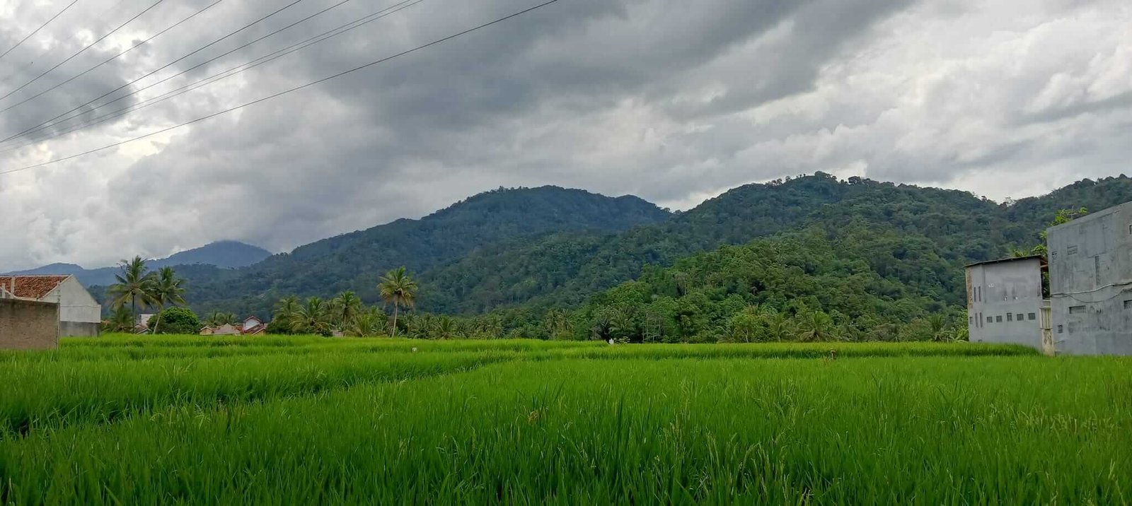 Gunung Mananggel