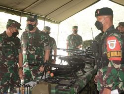 Asops Panglima TNI: Satgas Yonif Raider 301/PKS, Siap Melaksanakan Operasi