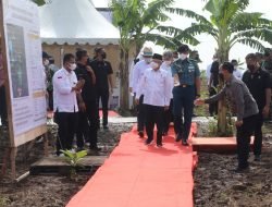 Wamentan Dampingi Wapres Tanam Jagung dan Kedelai di Purwakarta