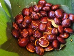 Beberapa Olahan Jengkol Ini Wajib Kamu Coba!
