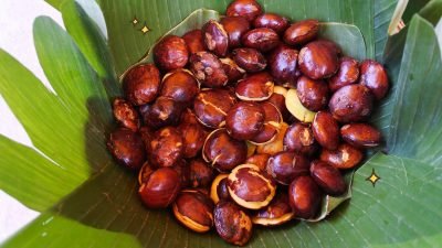 Beberapa Olahan Jengkol Ini Wajib Kamu Coba!