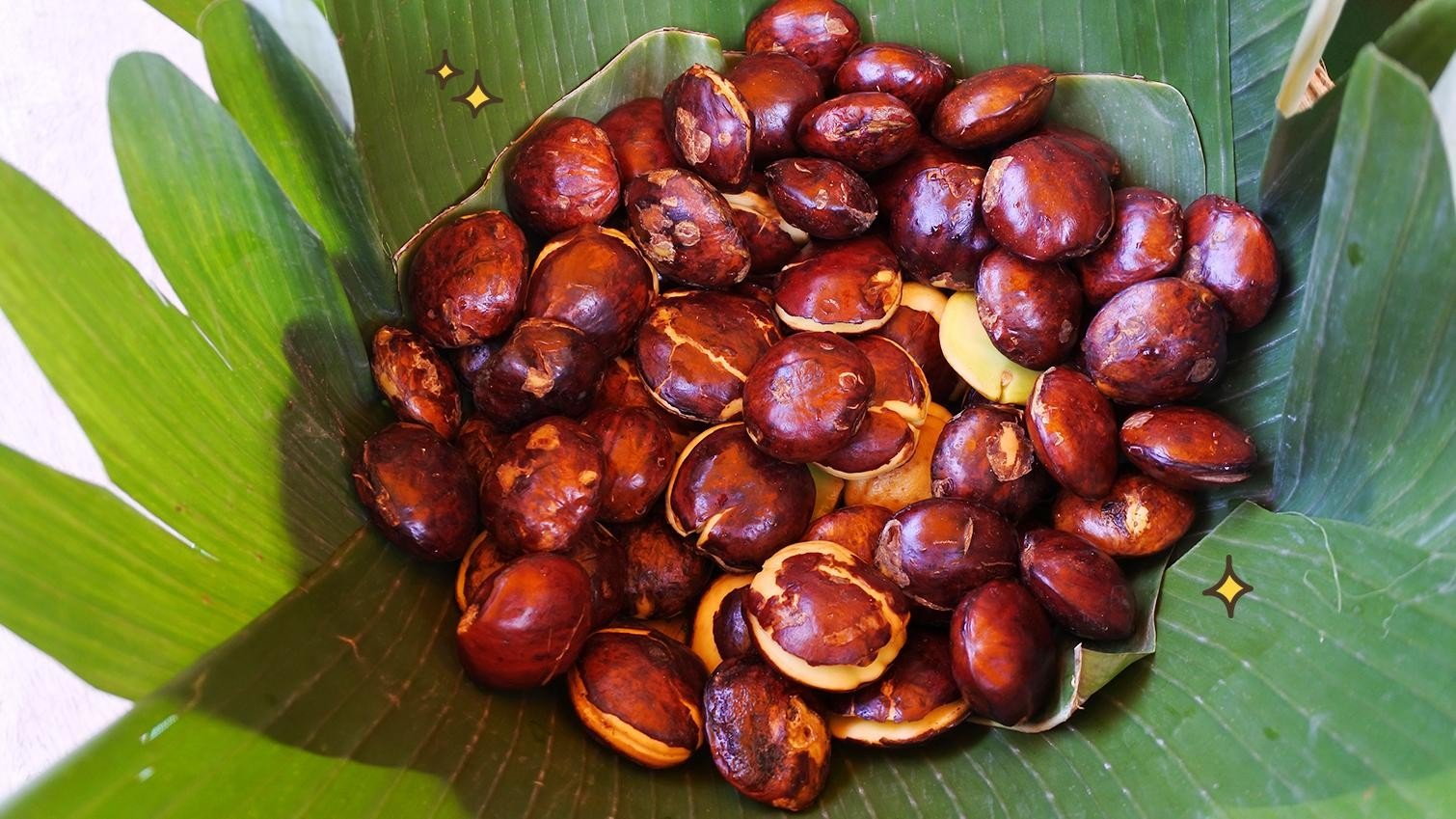 Beberapa Olahan Jengkol Ini Wajib Kamu Coba!