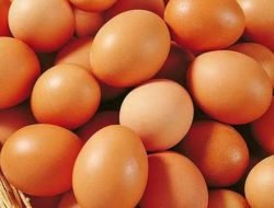 8 Ragam Manfaat Telur Untuk Kesehatan