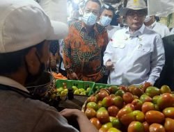 Wamentan Lakukan Sidak ke Pasar Serpong