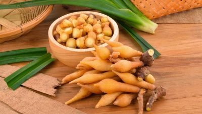 7 Manfaat Temu Kunci untuk Kesehatan, Bisa Cegah Obesitas Juga, Lho!