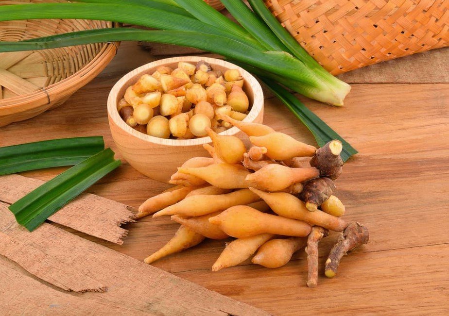 7 Manfaat Temu Kunci untuk Kesehatan, Bisa Cegah Obesitas Juga, Lho!
