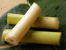 9 Manfaat Batang Pisang untuk Kesehatan, Bisa Turunkan Berat Badan