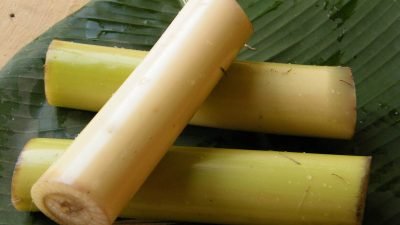 9 Manfaat Batang Pisang untuk Kesehatan, Bisa Turunkan Berat Badan