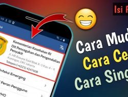 Cara Mengisi eHAC Untuk Mudik Lebaran Tahun 2022