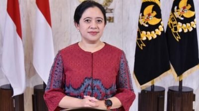 Puan Dukung Kejagung Usut Oknum yang Terlibat Kasus Kelangkaan Minyak Goreng