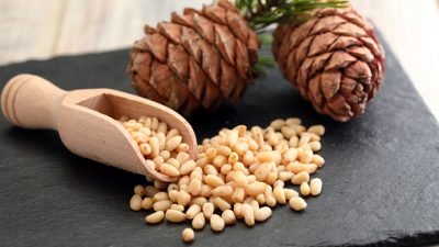 Ragam Manfaat Kacang Pinus dan Efek Sampingnya