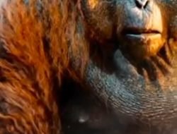 Gigantopithecus blackii, Sang Pendatang Baru di Semedo