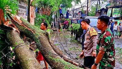 Pohon Tumbang di Cigugur Tengah Akibat Hujan Angin dan Es yang Mengguyur Kota Cimahi