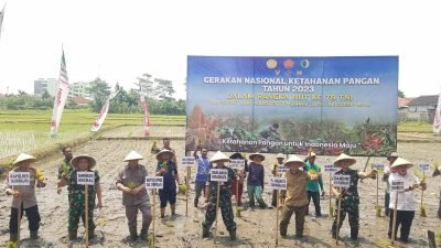 Optimalkan Lahan Tidur, Pemkot, Pemda, TNI, Polri Tanam Padi Bersama