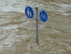 Untuk Pengendalian Banjir Harus  Ada Pengendalian Konservasi KBU Untuk Resapan Banjir