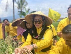 Politisi Partai Golkar Melli Darsa di acara Panen Raya Pandan Wangi Cianjur