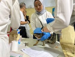 Masyarakat Bandung yang Punya Hewan kesayangan: Pemkot Gelar Vaksin Rabies Gratis, Ini tempatnya