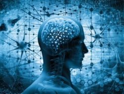 Mengapa Otak Fufufafa harus diperiksa dengan Brain CT Scanner