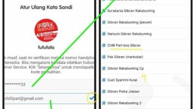 Fakta Fufufafa Terbuka dan membuatnya Cetar Membahana