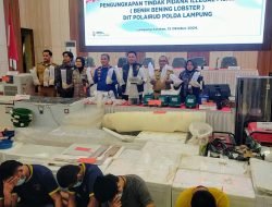 KKP Apresiasi Polda Lampung Ungkap Penyelundupan Baby Lobster